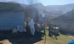 Kahverengi Kokarca Mücadelesi: 50 Bin Kışlak İlaçlandı