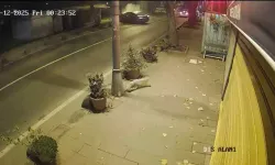 Ehliyetsiz Sürücü Ağaca Çarptı: 2 Yaralı