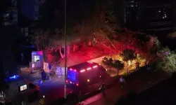 Otomobilin Üzerine Ağaç Devrildi, Sürücü Yaralanmadı