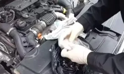 Sakarya’da Bonzai Operasyonu: 2 Gözaltı