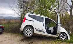 Hafif Ticari Araç Ağaca Çarptı: 4 Kişi Yaralandı