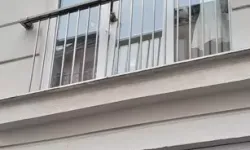 Pencereye Sıkışan Kedi Kurtarılamadı