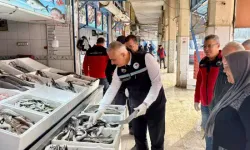 Hatay’da Balık Pazarına Sıkı Denetim