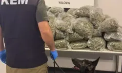 TIR’da 37 Kilo Skunk Ele Geçirildi: 5 Kişi Gözaltında