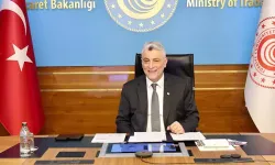 Bakan Bolat, Kanadalı Mevkidaşıyla Çevrim İçi Görüştü