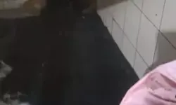 Atık Su Mağdurları: 1,5 Yıldır Çözüm Bekliyorlar