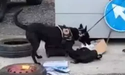 1 Kilo Kokain Ele Geçirildi: 2 Tutuklu