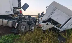 TIR Şarampole Devrildi: Şoför Yaralandı