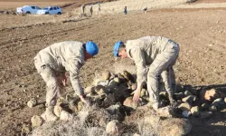 Başsız Ceset Olayında Arama Çalışmaları Devam Ediyor