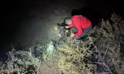 Sulama Kanalına Düşen Buzağı İtfaiye Ekiplerince Kurtarıldı