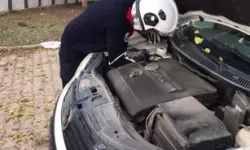 Motor Kısmına Sıkışan Yavru Kedi Kurtarıldı