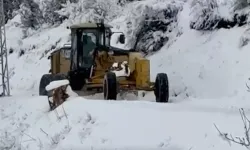 Kar Yağışı 12 Köy Yolunu Ulaşıma Kapattı