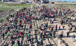 Yeni Doğan Bebekler İçin 5 Bin Fidan Dikildi