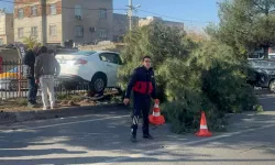 Diyarbakır-Elazığ Yolunda Kaza: 3 Yaralı, 1’i Ağır