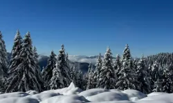 Çambaşı Yaylası Beyaz Örtüyle Kaplandı