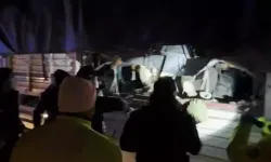 Karton Yüklü TIR’da 31 Kaçak Göçmen Yakalandı