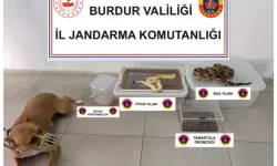Evinde Yabani Hayvanlar Bulunan Şüpheli Gözaltına Alındı