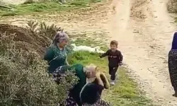 Arazi Kavgasında Kadın Darbedildi