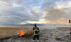 Korkutan Yangın: 150 Dönüm Kuru Otluk Alan Zarar Gördü