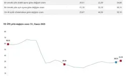 Yurt Dışı Üretici Fiyatları Kasım’da Yıllık %31,19 Arttı