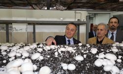 Rektör Prof. Dr. Fatih Yılmaz’dan Tokat’ta Mantar Üretim Tesisine Ziyaret