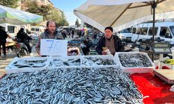 Kış Mevsiminde Sofraların Baş Tacı! Fiyatı 70 Liraya Düştü