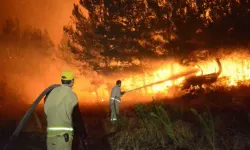 Orman Yangınlarına Karşı "Bilimsel Koridor" Önerisi