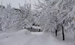 Bitlis Beyaza Gömüldü: 111 Köy Yolu Kapandı