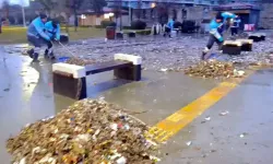 Lodos Sonrası Deniz Temizliği: Sahil Atıklardan Arındırıldı