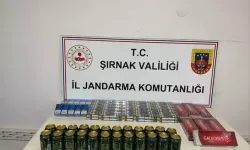 Jandarmadan 21 Milyonluk Darbe: 156 Şüpheli Yakalandı