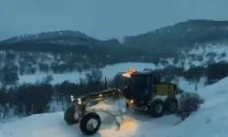 Bingöl Beyaza Büründü: Yollar Geçit Vermiyor