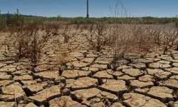 Prof. Dr. Kayıkçıoğlu: "Suyu Yönetemezsek Bitecek"