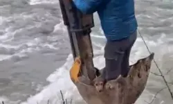 Mucize Kurtuluş: Yavru Köpek Kepçeyle Kurtarıldı