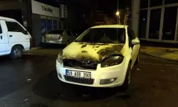 Park Halindeki Araç Bir Anda Yanmaya Başladı