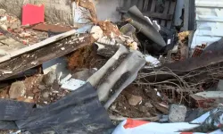 Devrilen Çam Ağacı Otomobile Zarar Verdi