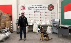 Edirne’de 117 Kilo Uyuşturucu Ele Geçirildi