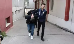 Sazan Sarmalı Dolandırıcılık: 7 Tutuklama