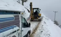 Sason’da Kara Saplanan Kamyonet Kurtarıldı