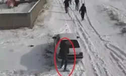 Avanos’ta Köpek Dövüşüne Jandarma Baskını: 10 Gözaltı