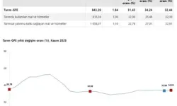 TÜİK: Tarımsal Girdi Fiyatları Yıllık %34,24 Yükseldi