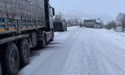Kar Yağışı Ulaşımı Kesintiye Uğrattı: TIR Yolda Kaldı