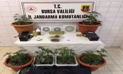 Uyuşturucu Üretim Evine Operasyon: 1 Tutuklama