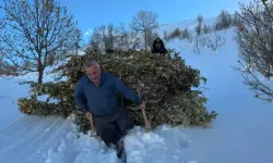 Bitlis’te Besiciler Kışlık Yemi İmeceyle Taşıyor