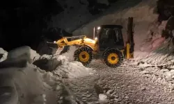 Pervari’de Çığ Kapanan Köy Yolu 3 Saatte Açıldı