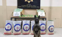 Hatay’da 107 Kilo Captagon Ele Geçirildi