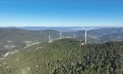 Enerjisa Üretim’den Rüzgarda 1.000 MW’lık İlk Başarı