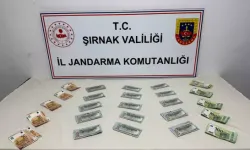 Şırnak’ta 149 Şüpheliye Operasyon: 19 Kişi Tutuklandı