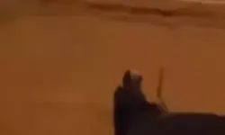 Alkollü Kadın Araçların Sileceklerini Kırdı