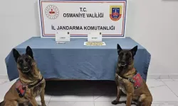 Osmaniye’de Jandarma 111 Şüpheliyi Yakaladı