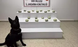 Başkale’de 20 Kilo Toz Esrar Ele Geçirildi